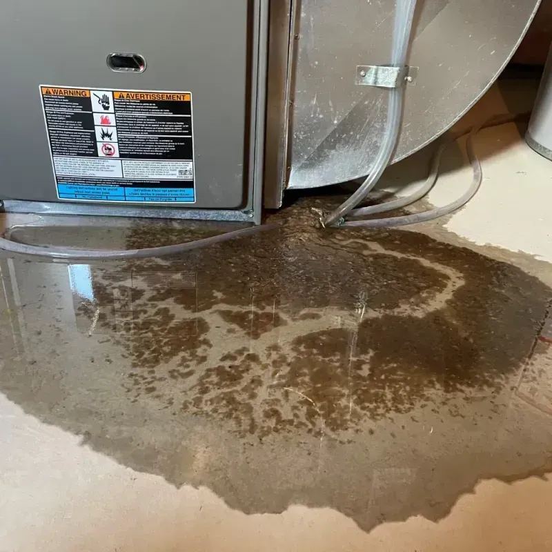 Appliance Leak Cleanup in Lake Nacimiento, CA